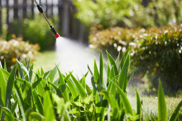 24/7 Emergency Mosquito Control experts in Painesville, OH